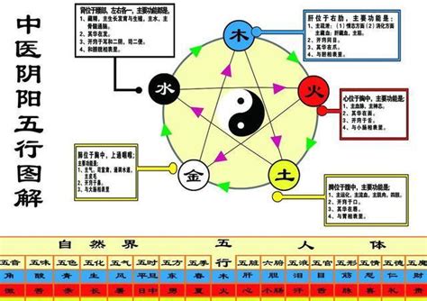 金融五行属什么 日文 名字 女